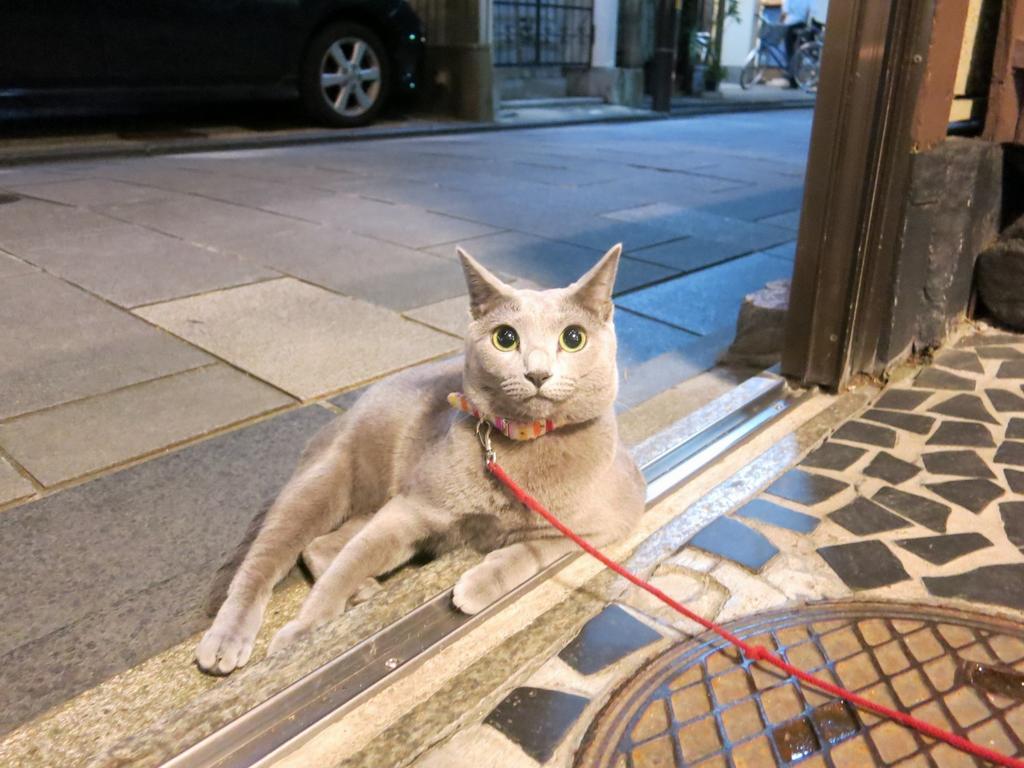 Fujiya Ryokan Kyoto Extérieur photo